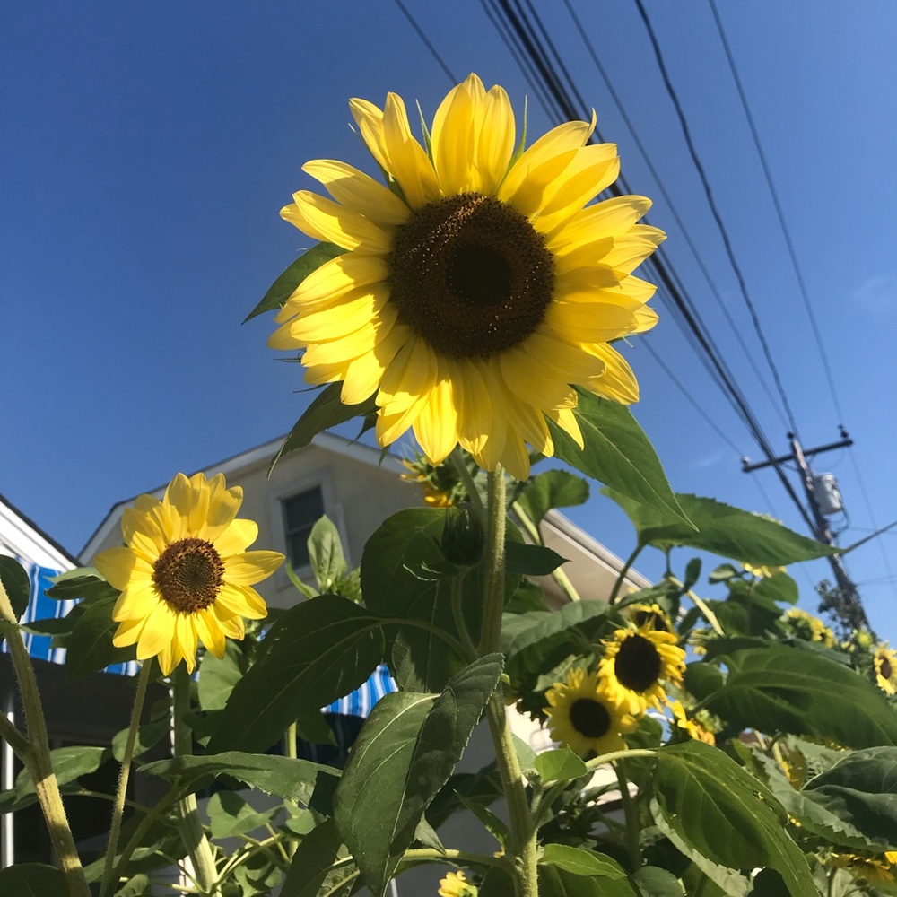 Meet your Posher, Tania